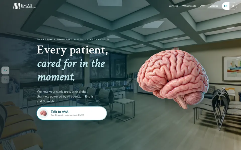 Sitio web de EMAS Spine & Brain